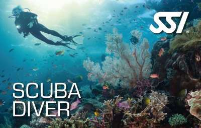Corso sub base Scuba Diver per immersioni fino a 12 metri insieme a una guida o istruttore